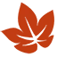 Red Leaves【红叶】 网站图标